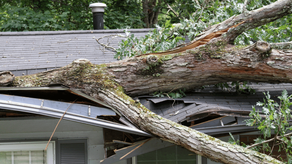 Severe roof damage caused by a fallen tree after a storm, highlighting the need for immediate roof repair.