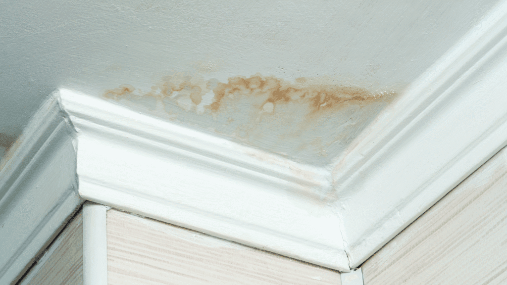 Close-up of a ceiling corner with visible water stains and damage