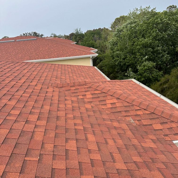 shingle roof companies Tampa
