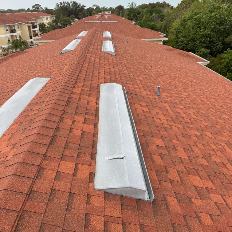 shingle roof florida